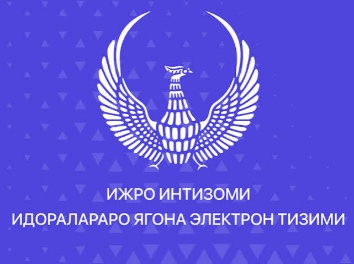 Межведомственная единая электронная система исполнительской дисциплины