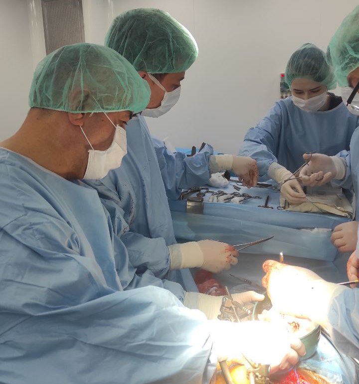 OUR SPECIALISTS PARTICIPATE IN SURGICAL OPERATIONS OF NOT ONLY THE KIDNEYS, BUT ALSO THE HEART, LIVER, STOMACH AND PANCREATS