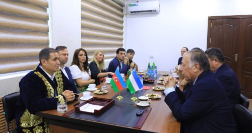 A MEETING IS HELD WITH AZERBAIJAN SURGEONS ON COOPERATION ISSUES