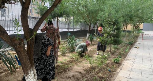 THE RECTOR GOT ACQUAINTED WITH THE LANDSCAPING WORKS BEING CARRIED OUT AT THE INSTITUTE’S SECOND EDUCATIONAL BUILDING